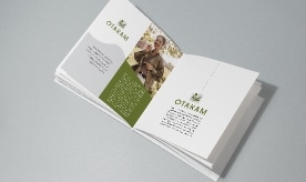 BG brochure telechargement